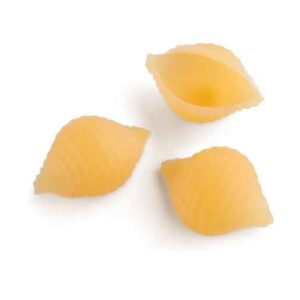 36 Conchiglie Rigate