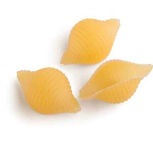 44 Conchiglie Rigate Grandi